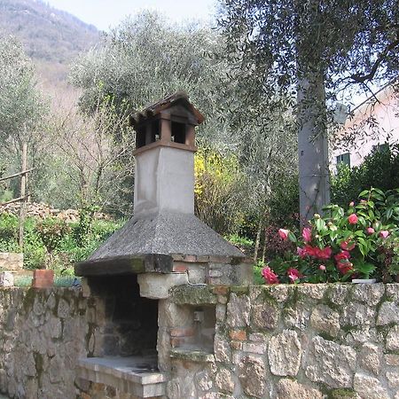 Il Castagneto Villa Teolo Exteriör bild