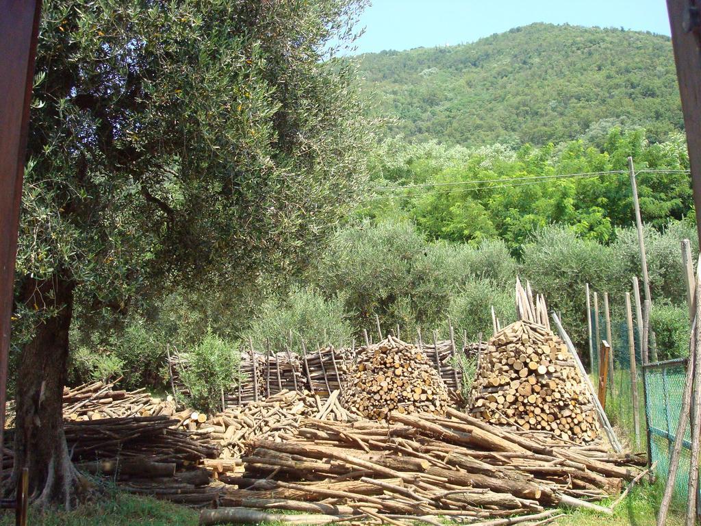Il Castagneto Villa Teolo Exteriör bild