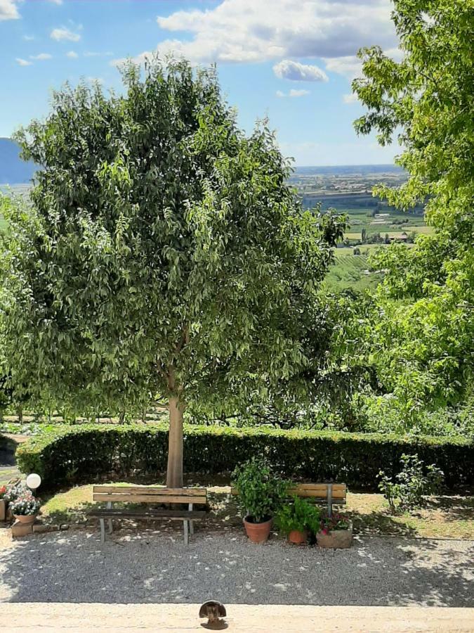 Il Castagneto Villa Teolo Exteriör bild